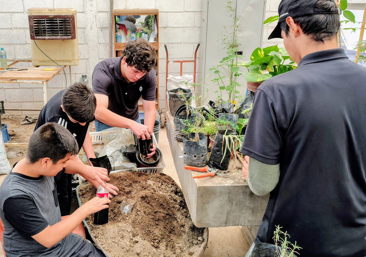 trcambiente's tweet photo. 🌱 Continuamos trabajando con jóvenes de “Eslabones por la Educación” en el Vivero Municipal, donde realizan su servicio social y participan en las labores de producción de plantas.
Seguimos impulsando la colaboración con jóvenes relacionadas con el cuidado de nuestro entorno. 🌿 https://t.co/oyz0g3o7OU