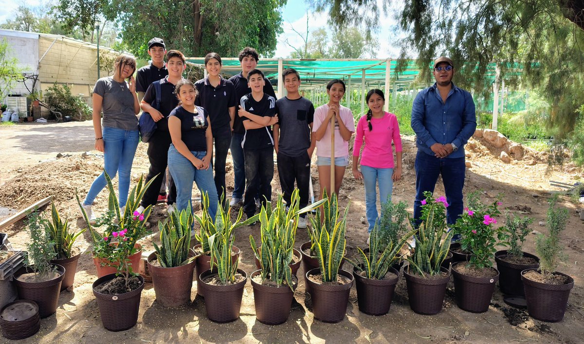 trcambiente's tweet photo. 🌱 Continuamos trabajando con jóvenes de “Eslabones por la Educación” en el Vivero Municipal, donde realizan su servicio social y participan en las labores de producción de plantas.
Seguimos impulsando la colaboración con jóvenes relacionadas con el cuidado de nuestro entorno. 🌿 https://t.co/oyz0g3o7OU