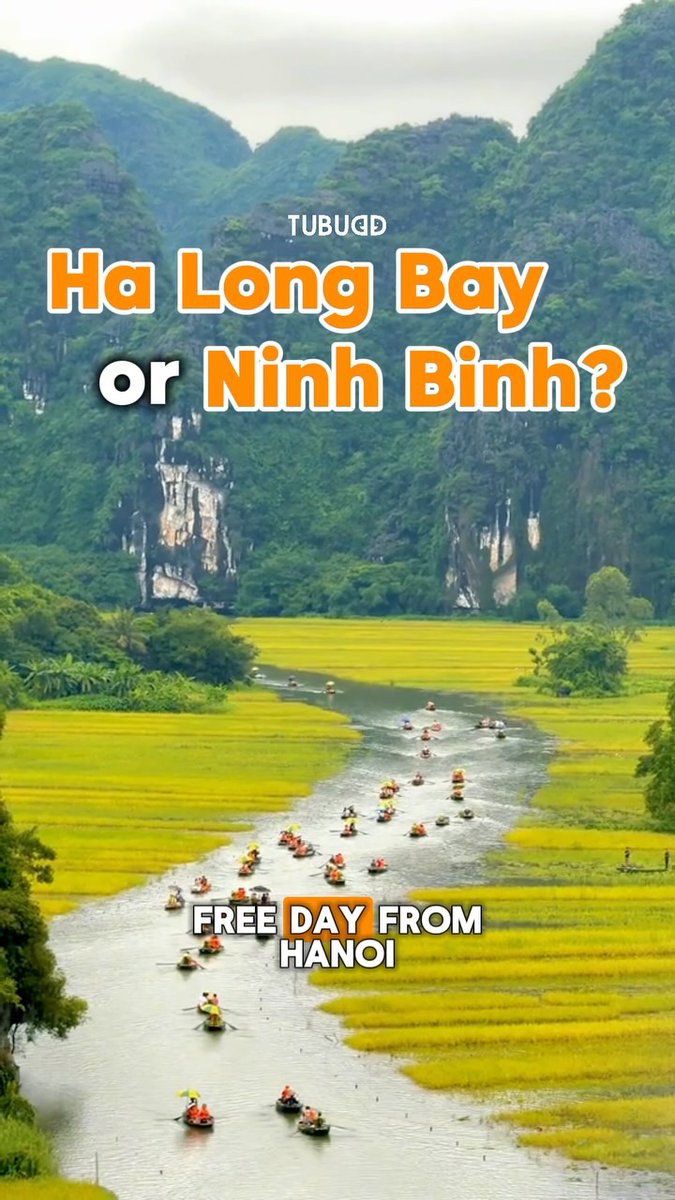 thebestjason's tweet photo. Ha Long or Ninh Binh? 🇻🇳
Same 2–3 hour escape from Hanoi. Completely different experience. 👀
🚢 Ha Long → iconic views, luxury cruises &amp; the classic Vietnam postcard
🌿 Ninh Binh → countryside, cave boats, mountains &amp; more freedom to explore
And https://t.co/59p7Wp9YU8