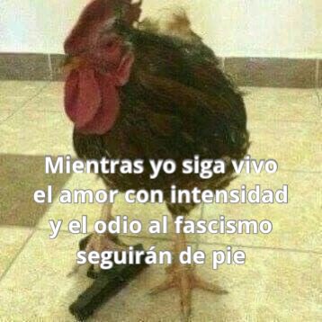 eskuelaradical's tweet photo. 👉 @eskuelaradical https://t.co/1q4UJRqrTw