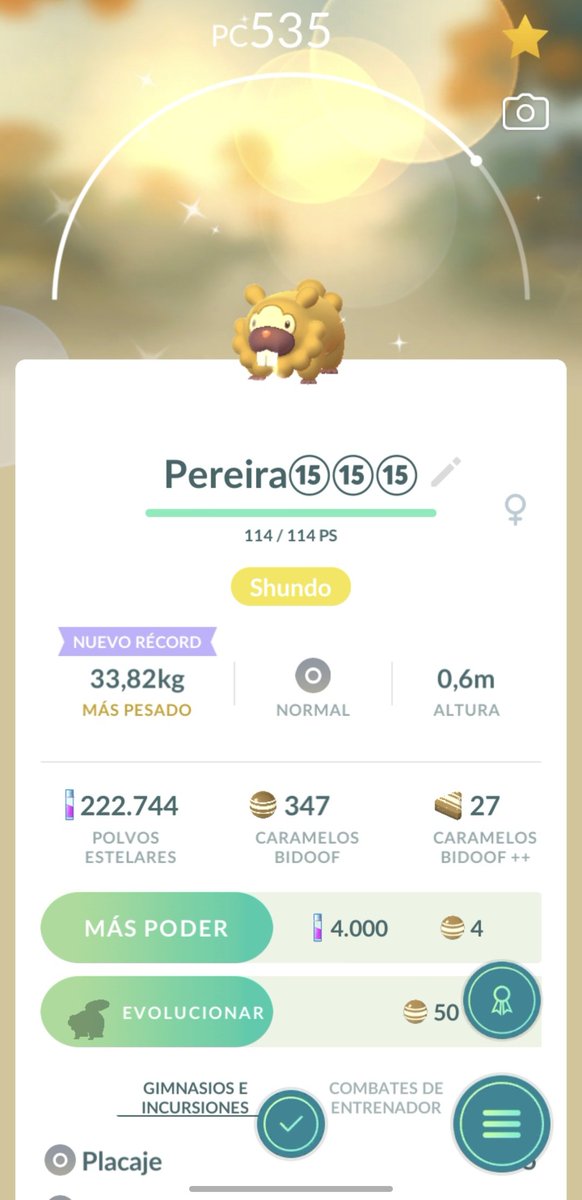 borjaa_rc's tweet photo. @Peereira7 castor shiny 100% https://t.co/L9Sw4R5EmE