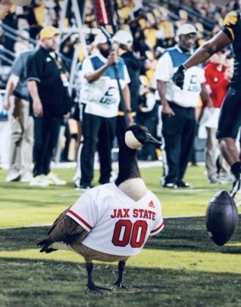 den_spin's tweet photo. It’s Gameday! https://t.co/dDKKsmX28B