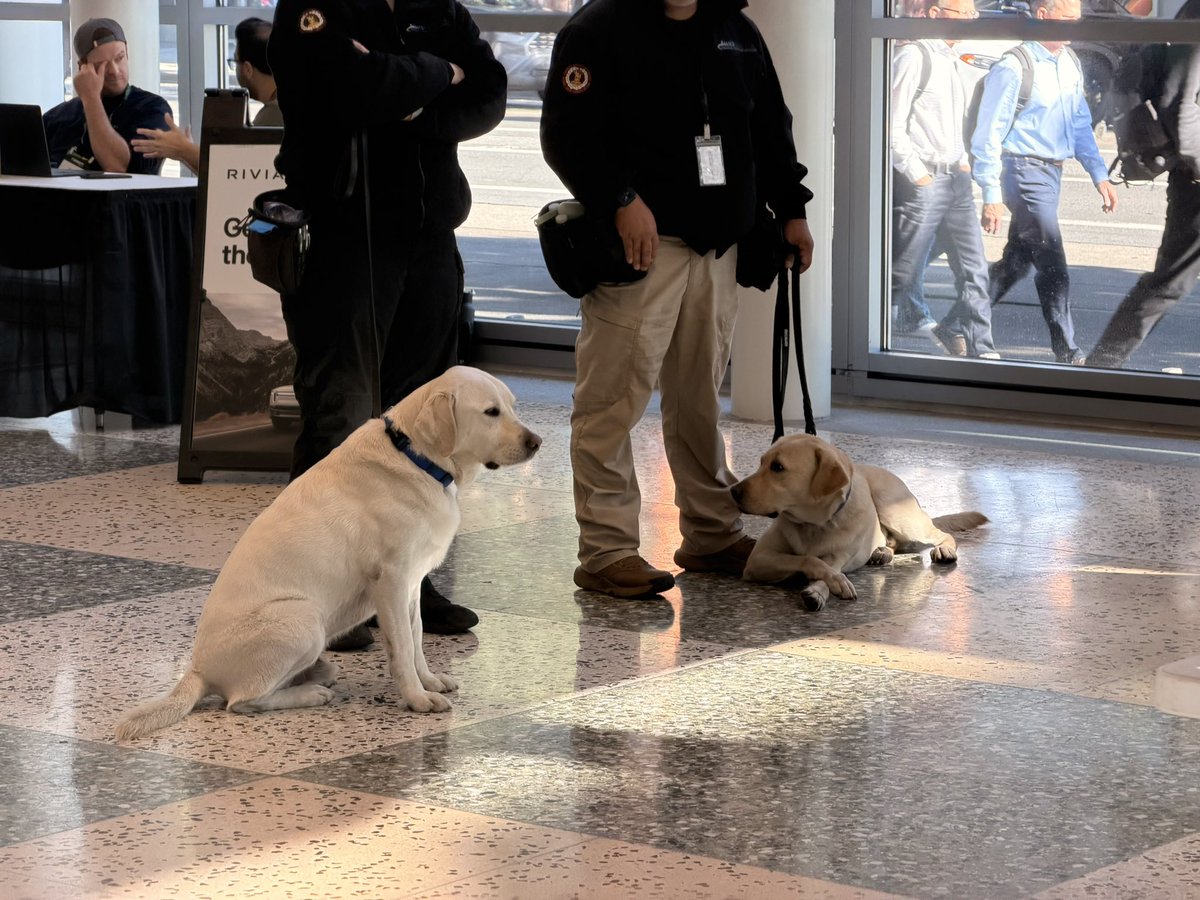 ericzhangca's tweet photo. cute security team 🐶 
#TechCrunchDisrupt2026 #ConvergeAI https://t.co/jvTSOo6vBD