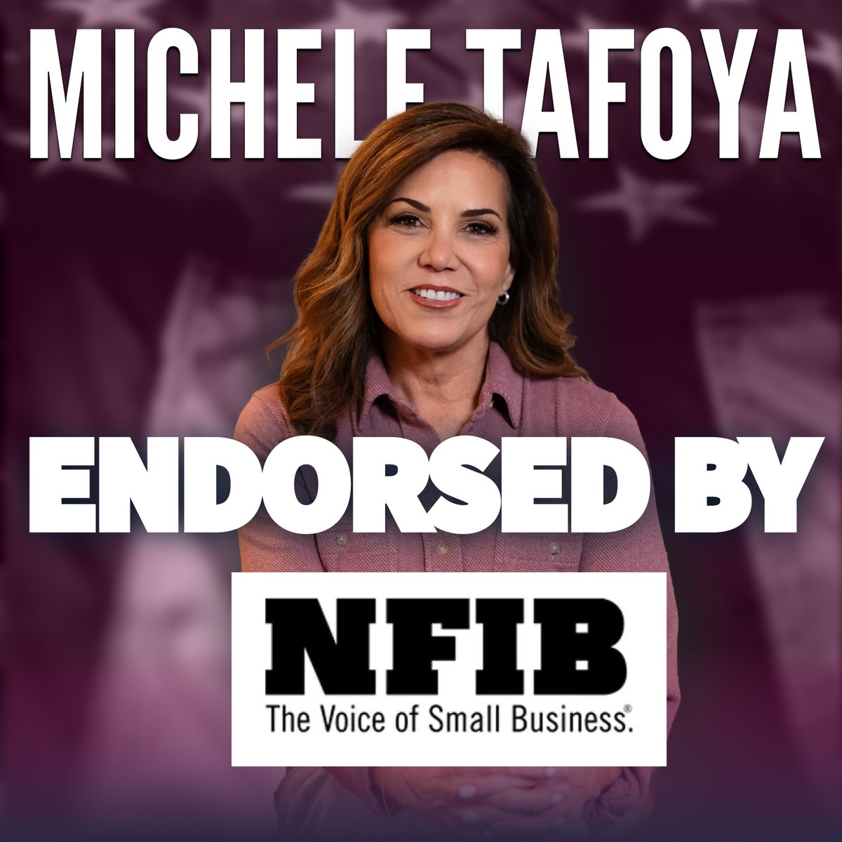 Michele_Tafoya's tweet photo. I’m proud to have the endorsement of the National Federation of Independent Business!

As the voice of small business, NFIB represents Minnesota entrepreneurs and job creators who keep our communities thriving.

In the U.S. Senate, I’ll work to cut taxes, reduce burdensome regulations, and help Minnesota small businesses grow and create jobs.
