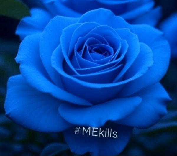 MemorialME's tweet photo. 🖤#RIP 🖤
Schon wieder eine schockierende Todesnachricht.☠️
Die Patientin starb in der Klinik, sie litt an schwerem 
#MECFS #POTS #MCAS #EDS u. #Gastroparese.
Aufgrund ihrer Erkrankungen konnte sie nicht genügend essen u. war untergewichtig. 

WARUM konnte ihr niemand helfen? 💔 https://t.co/6NjaK0lwJt