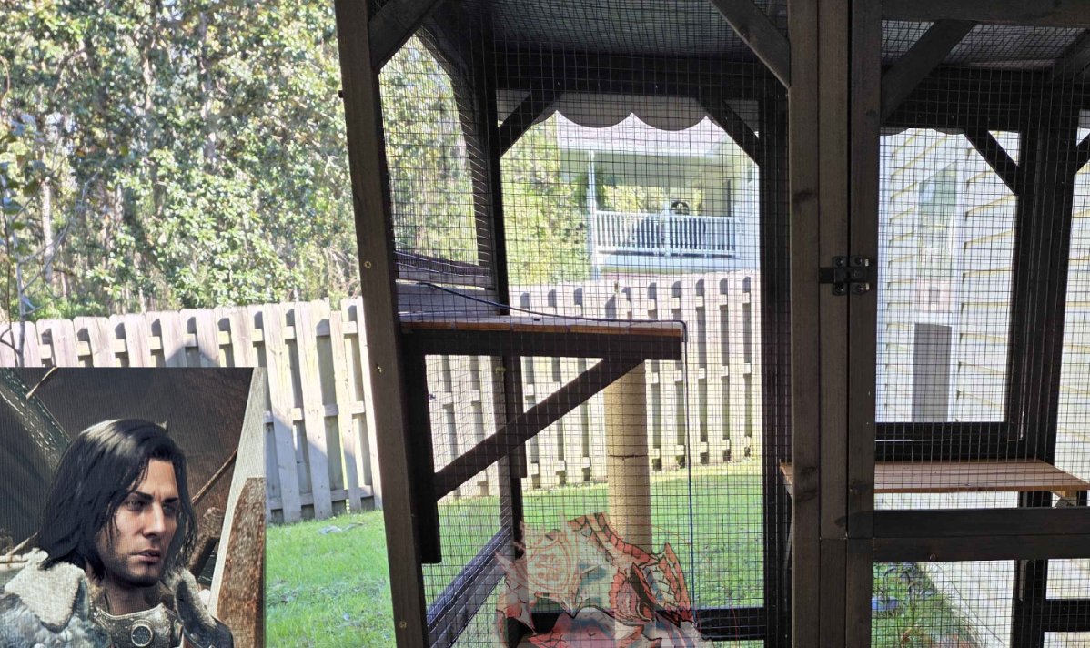 BladeScales_'s tweet photo. // I've hired this handler to stare at you all while I go check the trap for more. https://t.co/7Vmw3wAcsp