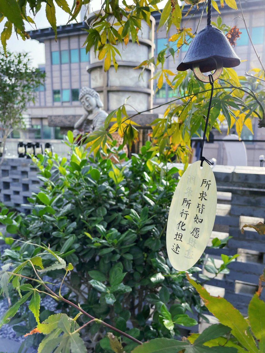 Courtneycpmh's tweet photo. [幼亩钟]の音色に癒される休日です。 https://t.co/qPA4sNuhOw