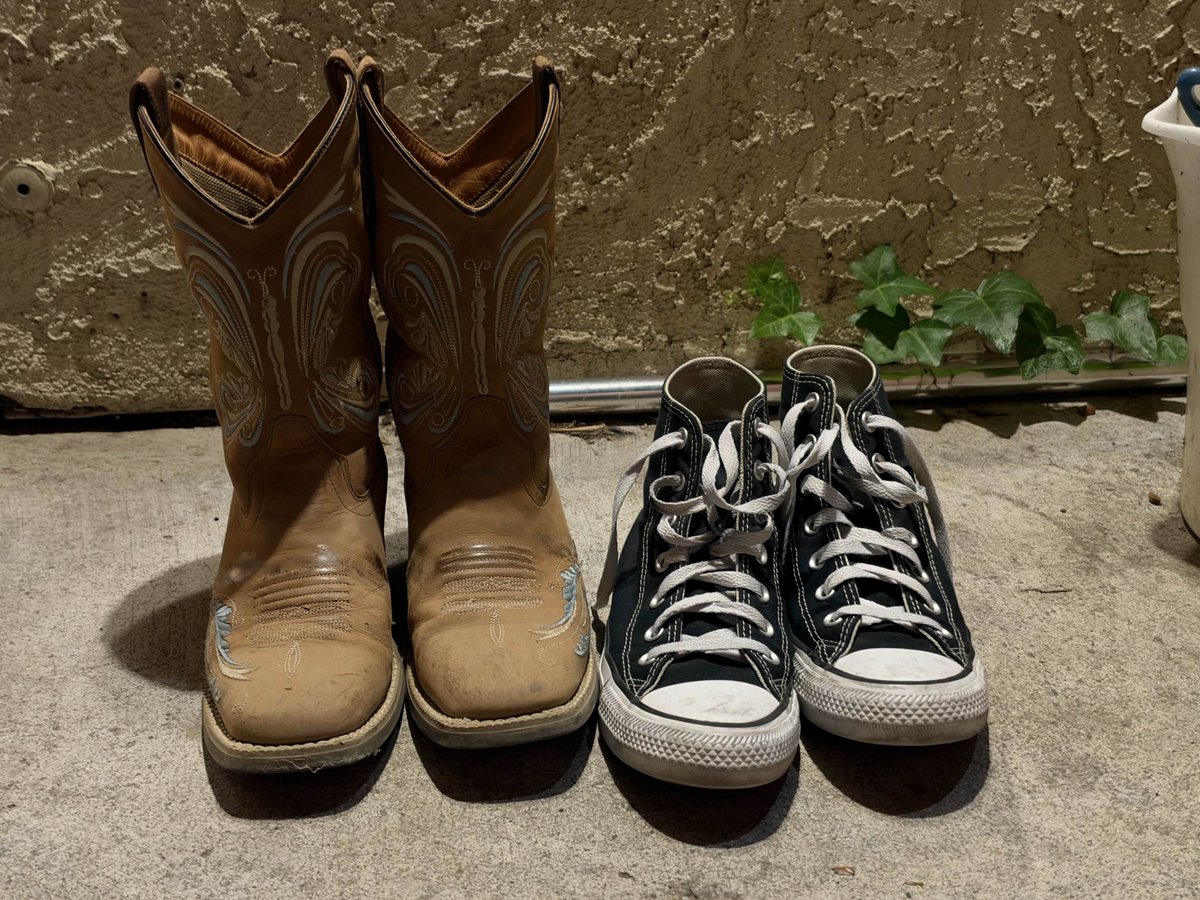 hydraa182207's tweet photo. my two aesthetics fighting for a place in my wardrobe

The most un-gamer thing about me is that I love horses, I work with horses and my major in college is equine sciences.
The most un-country thing about me is that I play video games and stream. 

But I love both of the worlds https://t.co/hxvkIh4FsE