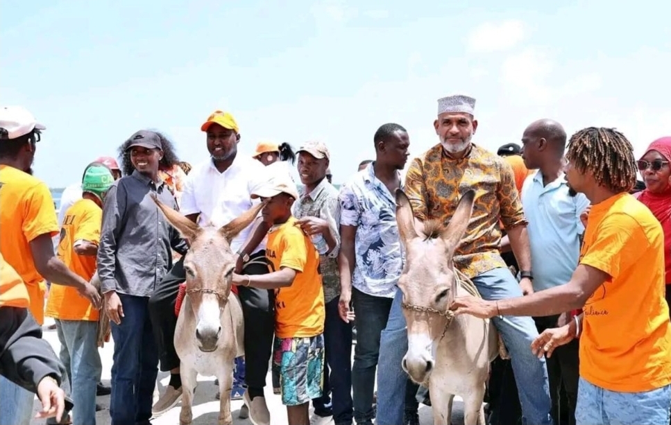 ntvkenya's tweet photo. Beyond the burden: Lamu's iconic donkeys trot into the 2027 campaign fever

https://t.co/FvUAJSJG2D https://t.co/SeZg8UoV9P