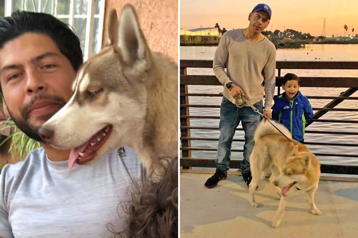 nypost's tweet photo. Horror as beloved family dog is found hanged by his leash in alley outside their Los Angeles home https://t.co/z03waZ4tI3 https://t.co/Bci5q4Kxpm