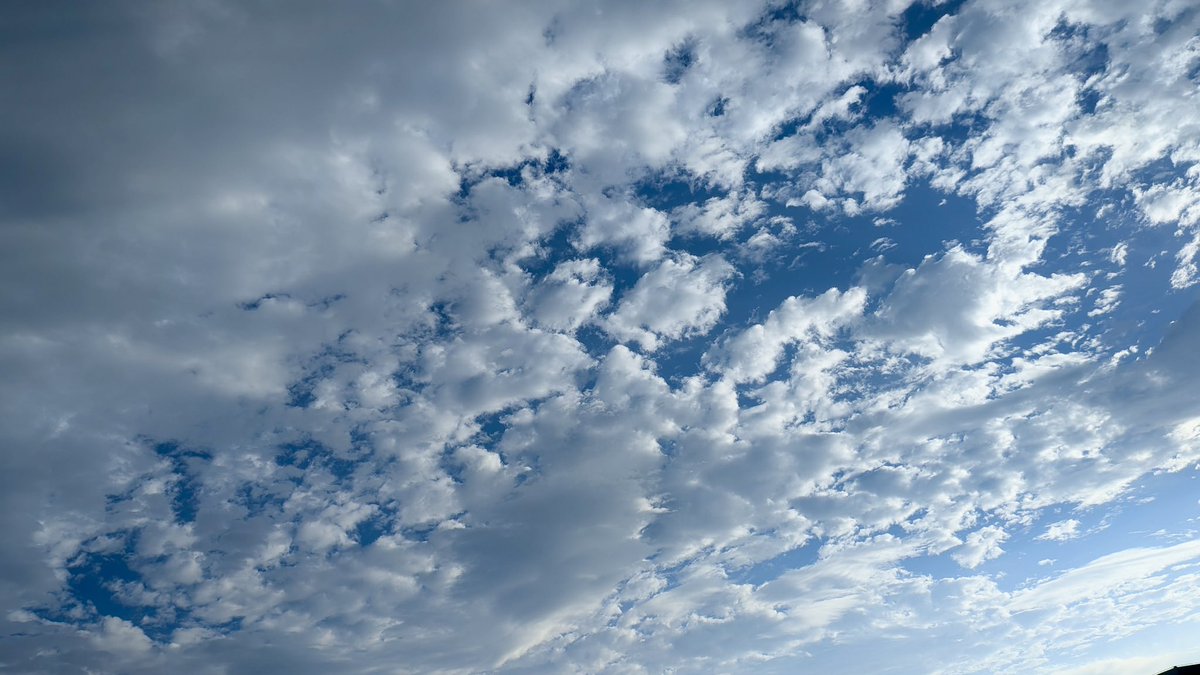 369amanoryo's tweet photo. おはようございます。

清々しい秋空をながめ、
気持ち良い目覚めの朝！
みなさまよく眠れましたか？☺️
あらためて昨日は"秋の宴"ご来場いただき
ありがとうございました🙏
みくに会とのご縁から、
たくさんの幸せをいただいた一日でした。
初心忘れずに、感謝を胸に、
頑張ってまいります💨

みなさま、
今日も一日どうぞ
すこやかにおすごしください💐