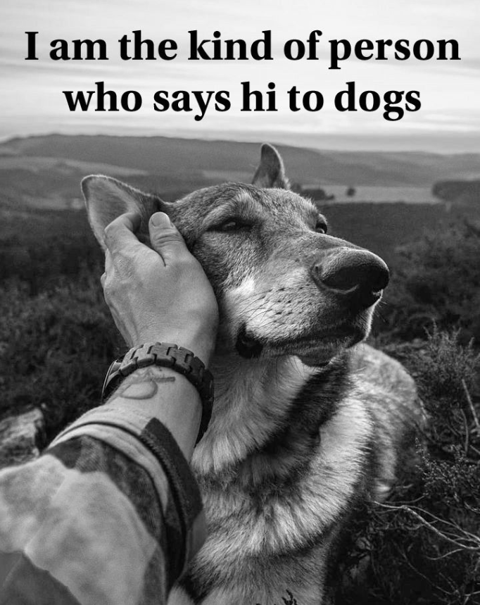 TweeetsOfDogs's tweet photo. https://t.co/4MuwtlEi51