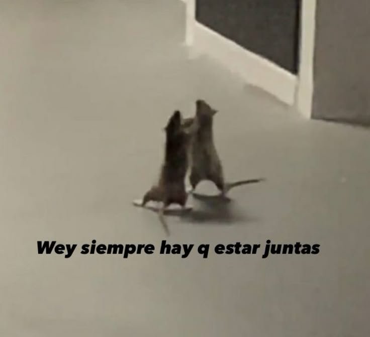 DuduGigi_'s tweet photo. @lvs_ge0o Síii ahí que casarnos 😙😙 https://t.co/2PmYWFyuzq
