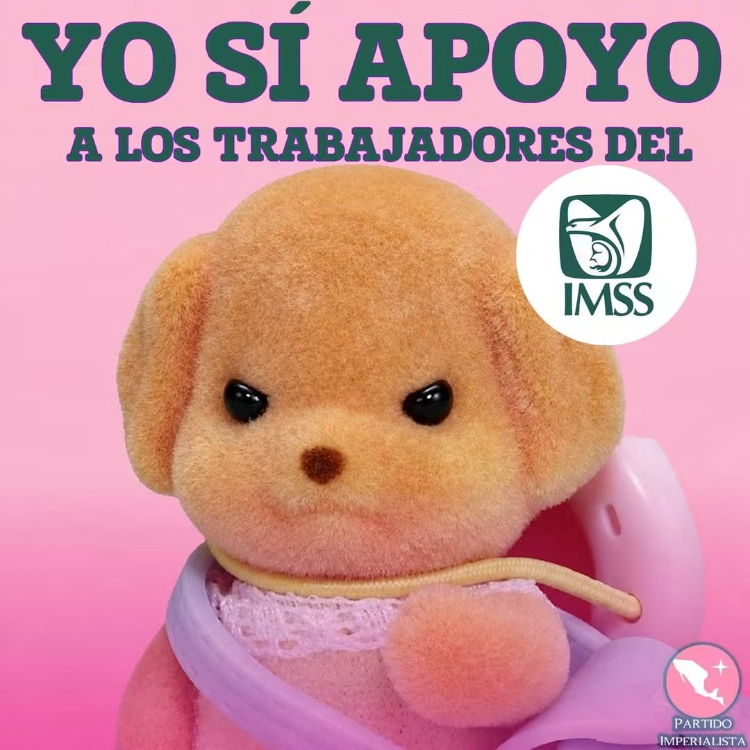 DraFangirl's tweet photo. Darle la espalda al IMSS es dejar morir a los mexicanos. https://t.co/lEWZb44tlX