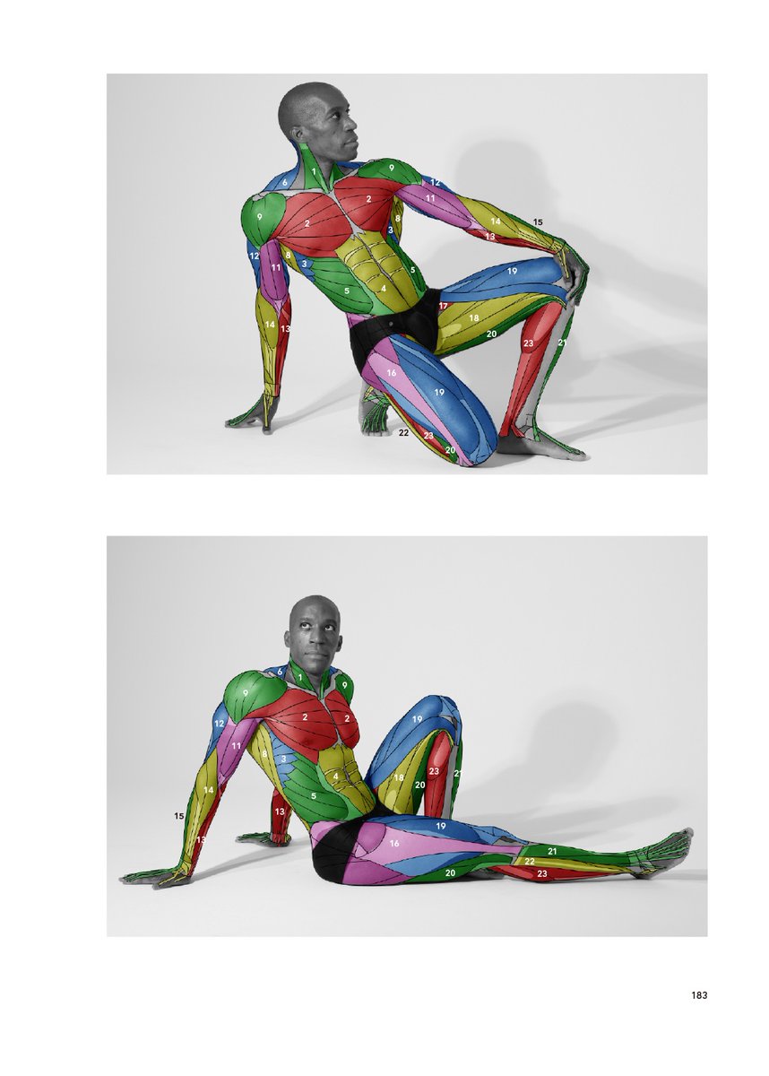 artanatomylab's tweet photo. 『アーティストのための体表解剖学　総集編』
同人誌【PDF版】好評発売中！
総集編では9人のモデルによる合計450ポーズの筋肉資料を掲載！
テキストは日本語と英語を併記しています！
PDF版は片面ページと見開きページの２種類のデータがダウンロードできます！
https://t.co/SrGCdtjXFj https://t.co/zLuRfWrNdK
