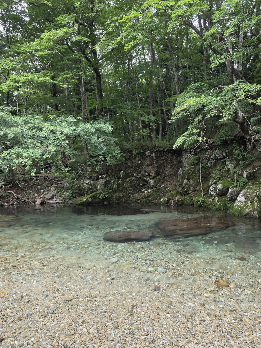 Mitsui88825352's tweet photo. @smahoji @realgaiginman はい、山中から涌き出る水の温度は真夏でもあまり上がらないっぽいです。。
9月末まで南伊豆で泳いでる割と頑丈なほうだと思ってた我が家でも膝下が限界でした。
写真見返したら訪問7/29でしたが、水温上昇に遅行性があるのかもですね。だし、連日40℃弱みたいな猛暑な年ならイケるかもですね。 https://t.co/T4VFRQrZ7c