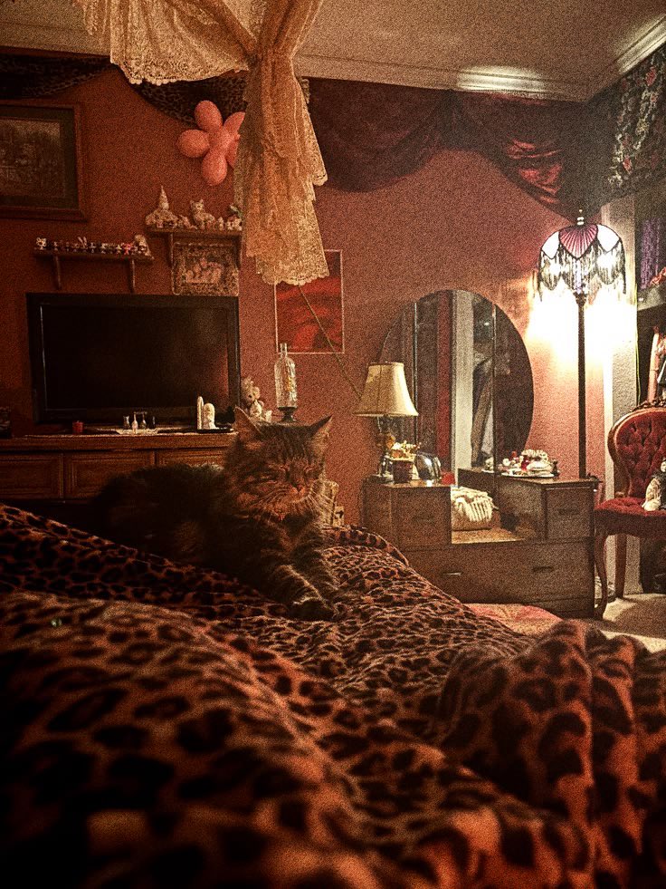 MightyXMorpher's tweet photo. I just woke up and there’s a cat. Why is there a cat in my room?? Where did you even come from https://t.co/5lLYrwheuq