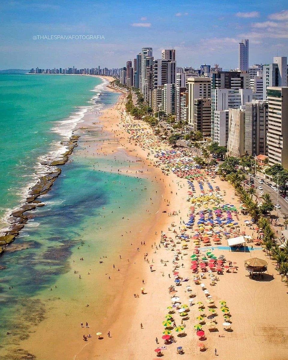 livhiraeth's tweet photo. Me assombra muito que o nordeste tem esse tanto de beleza em suas capitais, mas sempre é retratado sendo só o sertão como se todo nordestino tivesse a mesma vivência, flor do Caribe foi a única até hj que fez diferença. https://t.co/fndk1XHmbz