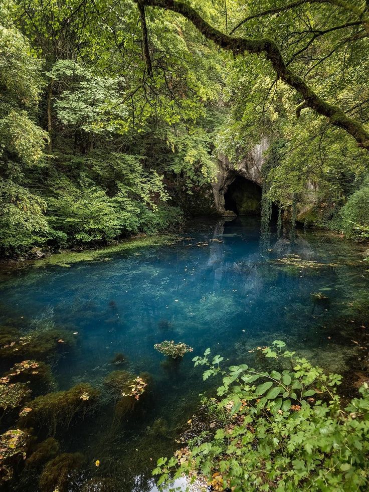 naturehealyou's tweet photo. Nature is beautiful https://t.co/Aylf64KMYy