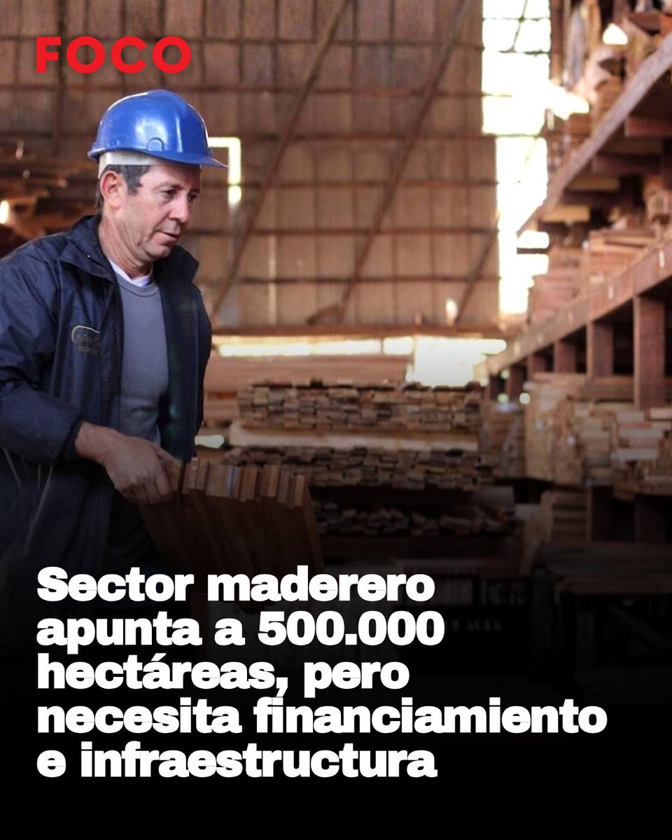 RevistaFocoPy's tweet photo. #negocios 🪵 🇵🇾
El sector forestal paraguayo proyecta alcanzar las 500.000 hectáreas forestadas e incluso triplicar sus exportaciones en los próximos cinco años. 

📲 https://t.co/jRMNynbm3h https://t.co/G0NI6lUHfx