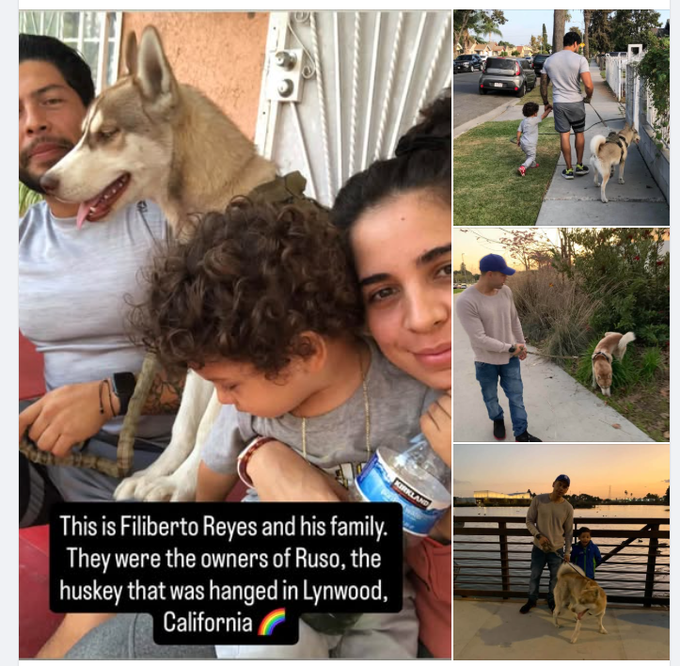 s4ndeer's tweet photo. Wait THIS IS ACTUALLY INSANE, it could 100% be the NEXT JAMESON

This dog named Ruso was in it's backyard when two people STOLE HIM AND HUNG HIM FROM A DOOR UNTIL HE DIED

This is literally going to cause so much outrage, it's in the same city as Jameson and we know they are going to make this go SO VIRAL

Already going viral first on facebook too, we're even before the news articles

https://t.co/YJGE0JbrLT

https://t.co/nrviXpfkns