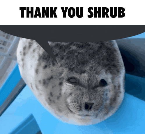 SaveTheSealsSOL's tweet photo. Despite no interaction from the main account yet we have tons of DMs from interns, employees and volunteers praising our effort and saying things like we are doing gods work. 

Thank you for the kind words everyone. https://t.co/KorrpIpM8D
