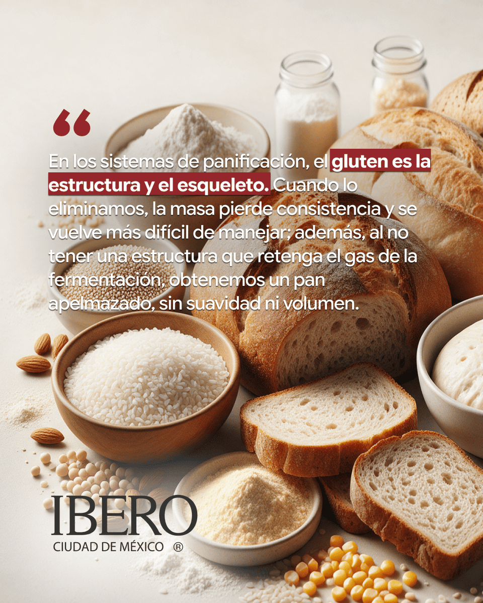 ElFoodTech's tweet photo. 🍞Eliminar el gluten no significa simplemente sustituir la harina de trigo. En panificación, implica reconstruir la estructura del producto para lograr volumen, textura, estabilidad y aceptación sensorial.

Conoce más 👉https://t.co/RbqSJshWGS

#thefoodtech https://t.co/mAO9WShccS