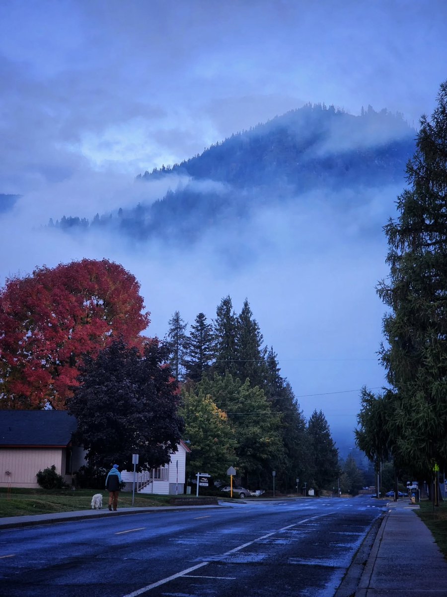 visualsofearth1's tweet photo. Current fall conditions in Leavenworth, Washington State https://t.co/CsdB7DHxIo