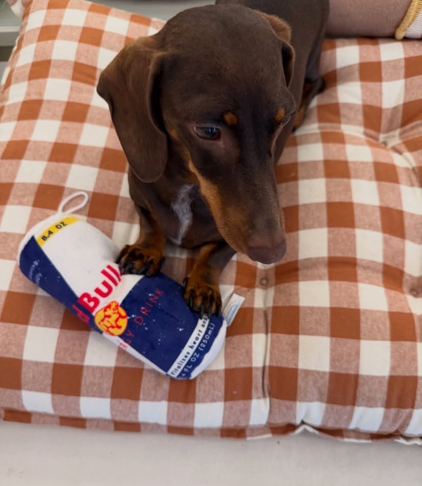 cantverstopim's tweet photo. Grandma Sophie, Lily and the sausage https://t.co/o2vCVatDMG