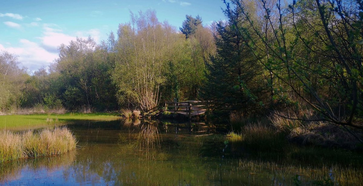 ZeldaPervine's tweet photo. Solitude feels louder once you finally stop running from it. https://t.co/yHpvO8i54n