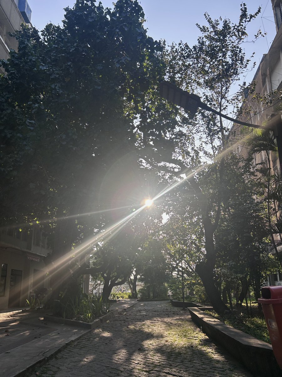 nappywondeer's tweet photo. im a fake pessimist i see tree branches in the wind and i want to live https://t.co/UgW25rMCdS