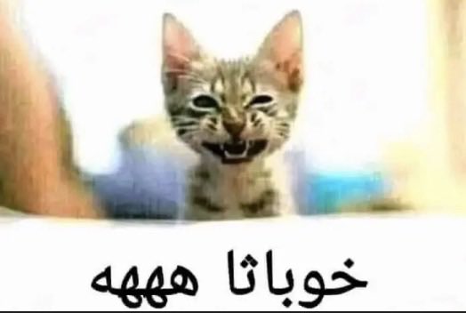 dilv70's tweet photo. احب اشوف الهوشات بس ماحب اتدخل https://t.co/F7P87BC4en