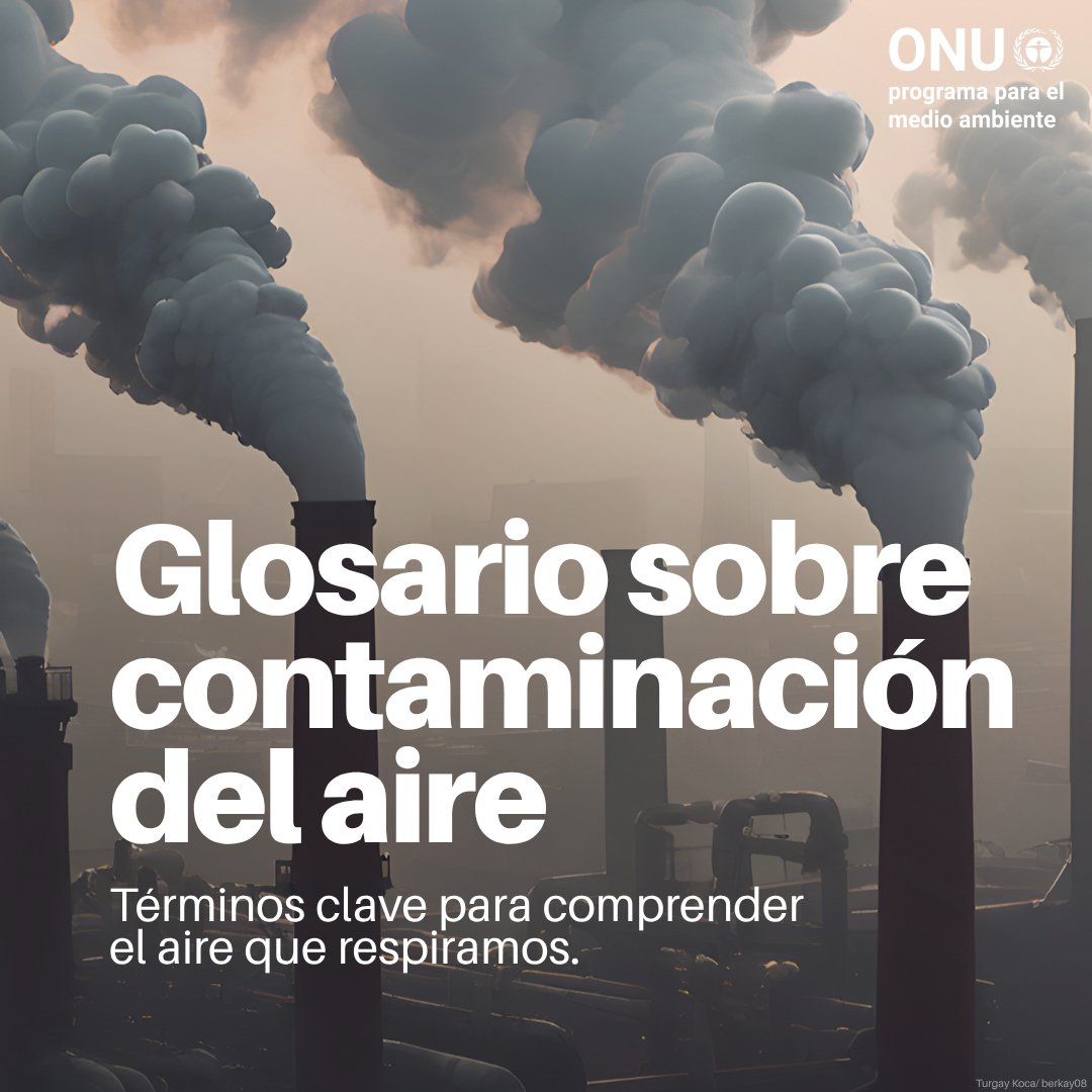 unep_espanol's tweet photo. No siempre podemos saber cuán contaminado está el aire con solo mirar al cielo.

Y términos como PM2,5, ICA o supercontaminantes no necesariamente ayudan a aclarar las cosas.

Esto es lo que significan y lo que pueden decirnos sobre el aire que respiramos: https://t.co/OZZ42AMZpR https://t.co/RWIMVCO64L