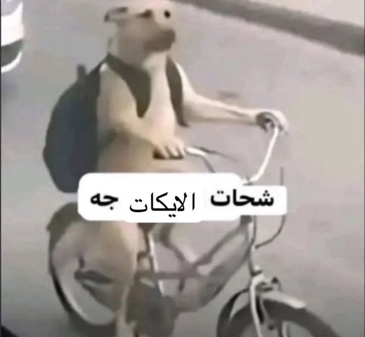 Najd_MMBS's tweet photo. جالسه اعطي لايكات لتغريداتي عشان لا تطلع مثيره للشفقه❤️ https://t.co/72RVnF2nZl