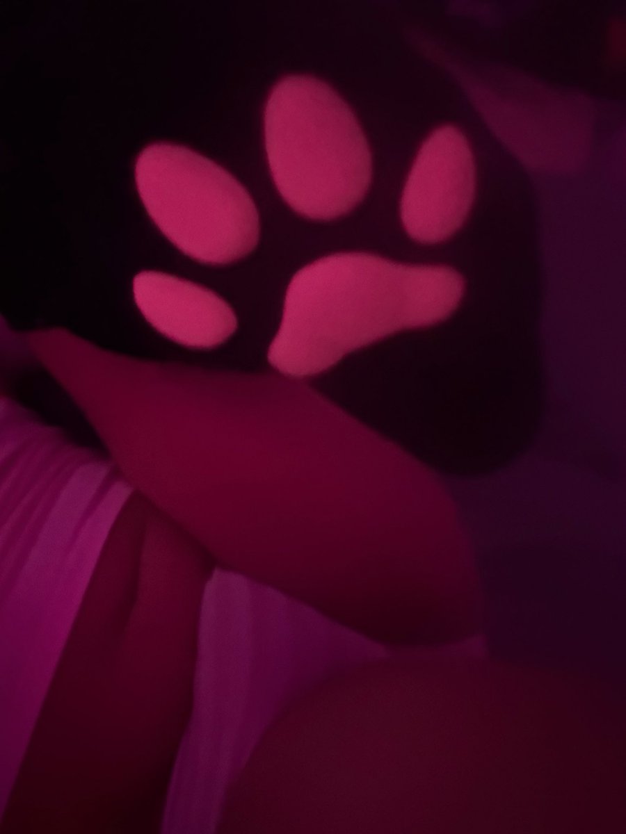 GunslingerDaFem's tweet photo. Wanna sniff my paws ;3 #catboy #femboy #thighs https://t.co/MkQiyuLZ7I