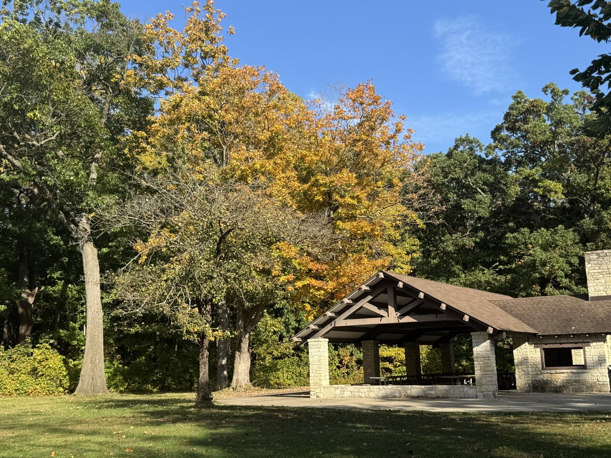 MichaelHeimlich's tweet photo. Fall-autumn colors-yellow tree leaves-trees-sunny-blue sky-Potawatomi Woods shelter Forest Preserves #FPDCC Wheeling Illinois USA 3:45pm October 12 2026  -Editorial Use Permission w/Credit: Michael Heimlich @MichaelHeimlich; #Fall #Forest #wx #ILwx @NWSChicago #StormHour #FPDCC https://t.co/C1IHhnKQmz