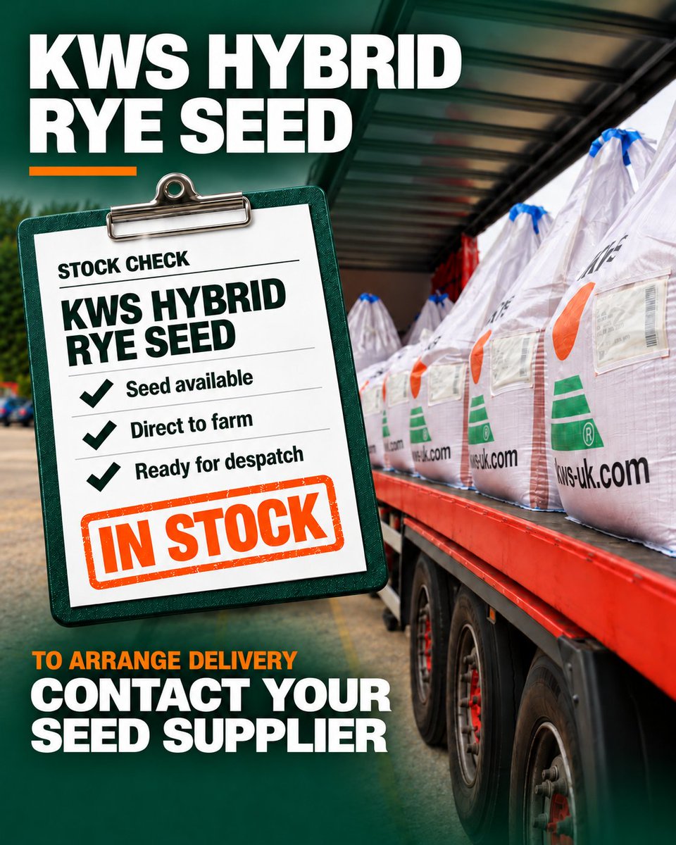 KWSUKLtd's tweet photo. Still considering hybrid rye? We have stock of KWS hybrid rye varieties on the floor, ready to be on farm within 48 hours.

Speak to your seed supplier today to discuss availability and secure the right variety for your rotation! https://t.co/u9Fe1SRXUE