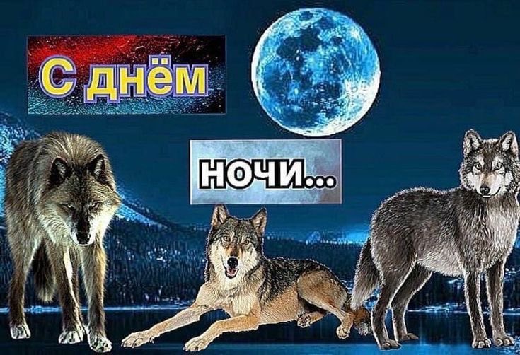 ifertyex's tweet photo. ВОТ ОН И НАСТУПИЛ… спокойноночный пост!! ребята всем спасибо за етот ахуенный свеговый день я очень рада что со многими сегодня успела повзаимодействовать и похихозить!! ДАЛЬШЕ БОЛЬШЕ. желаю всем хорошо отоспаться а того кто скинет мне какойнить трек в рп поцелую https://t.co/tdQpaQWgF8