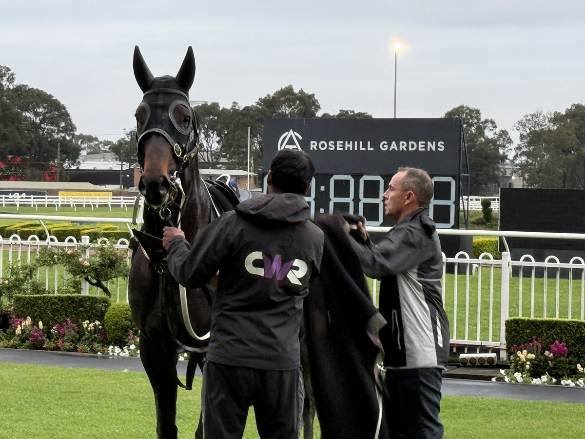cwallerracing's tweet photo. 📸 MEDIA MORNING | EVEREST WEEK 🏆

A big week ahead for the team, with Angel Capital and Joliestar preparing for Saturday’s $20 million TAB Everest, while Autumn Glow sets her sights on the Group One King Charles III Stakes.

A great morning with our stars as the excitement builds towards one of the biggest days on the racing calendar! 🌟🏇