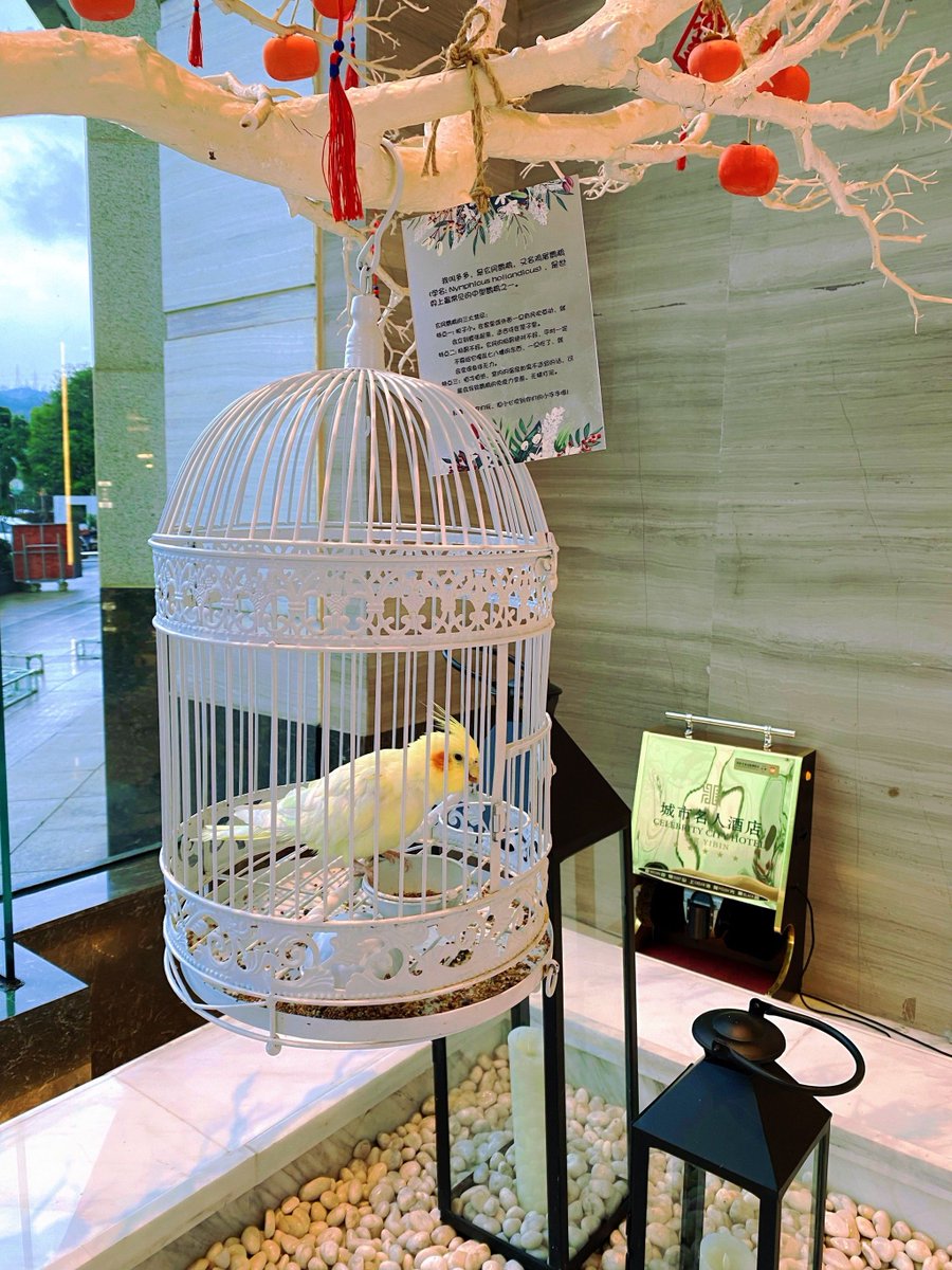 dolorisButswur's tweet photo. [環と麗しき日、謝すべき幸せが褐く輝く]， https://t.co/0iEgFSVpUs