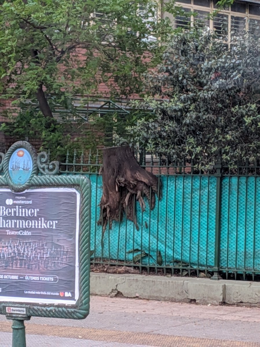 otrovega's tweet photo. Está reja está sobre libertador, cerca del hipódromo y la única explicación que le encuentro es que el árbol atravesó un portal cuántico mal calibrado y quedó ensartado. https://t.co/11FInJR68V
