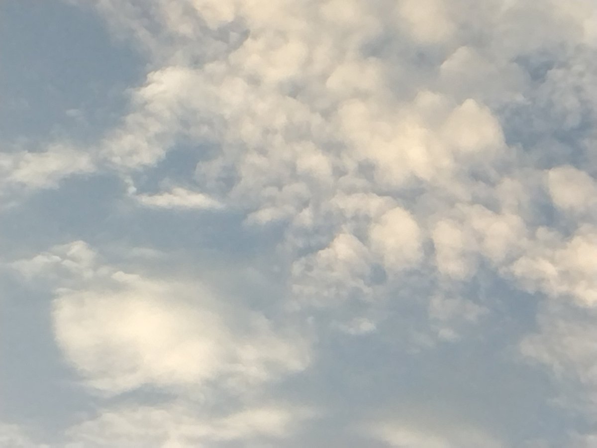26027ofr0's tweet photo. 朝日がキレイ🌅
 #イマソラ
 #朝日 https://t.co/KiU0BLkrgc