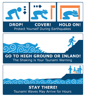 NWSSeattle's tweet photo. If you live near a shoreline, the earthquake is your natural tsunami warning! Stop what you're doing to Drop, Cover, Hold On to protect yourself. If you live in a tsunami hazard zone, you should then practice moving to high ground or inland after the shaking stops. https://t.co/ycI3OLV96V