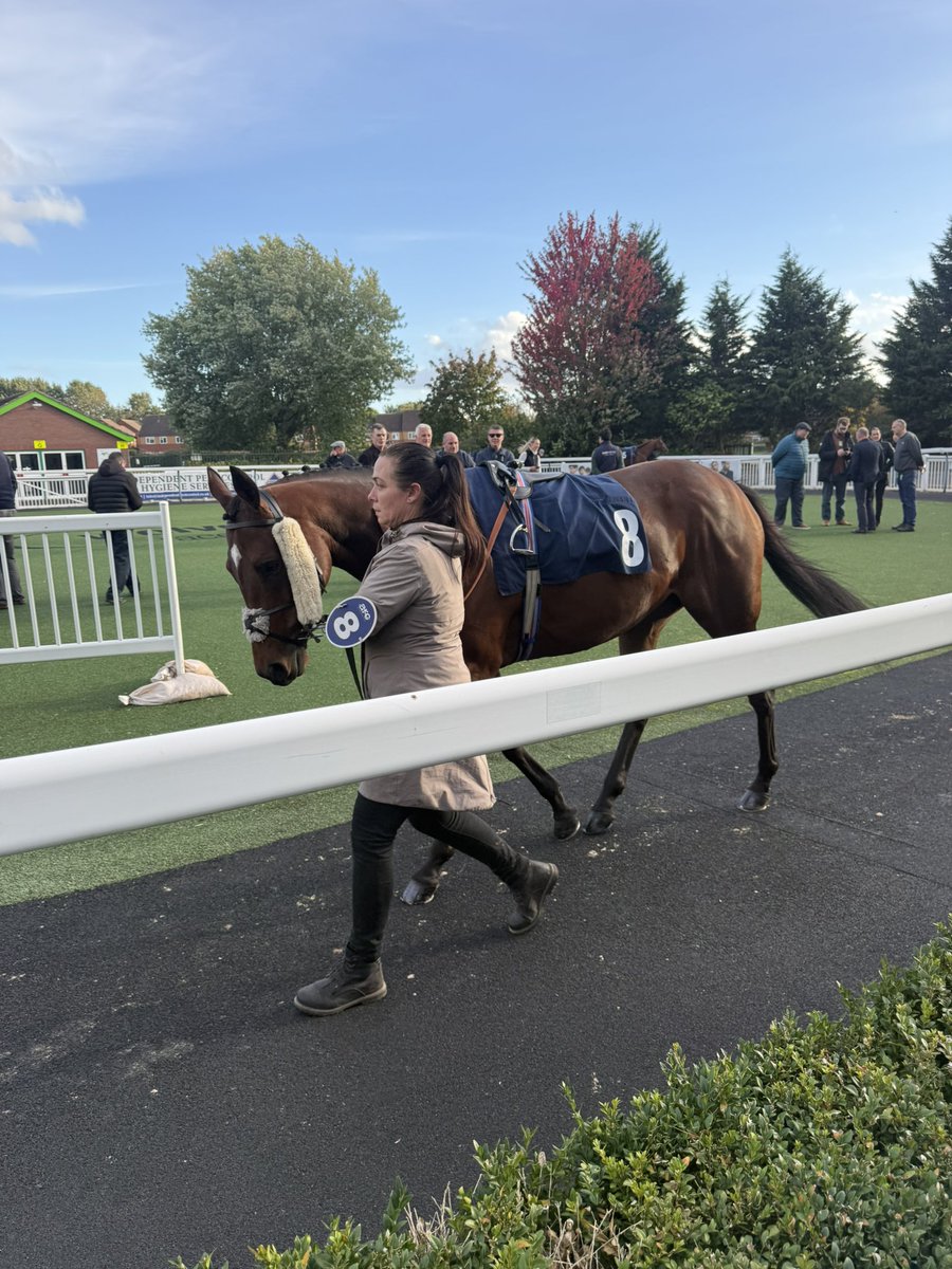 Crazyg07231486's tweet photo. Lady Delila @Raceday_Ready @PMorrisRacing @AlexandraEgan3 @WolvesRaces 

WINNER 🥇🐎 https://t.co/guCoD20Uhv