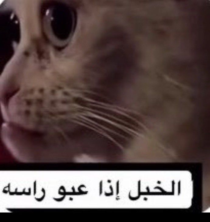wb_7f's tweet photo. لا طلعت سليمه سليمه https://t.co/tTkYaYCpt1