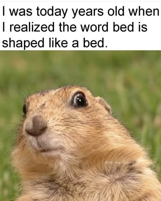 tmddyan2's tweet photo. If anyone has watched Word World.. we knew this already lmao https://t.co/E3XwWdAkaj