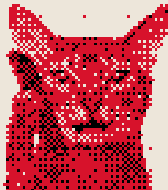 Doyouevenhbb's tweet photo. Just Calling Cat. https://t.co/fubvQ8NCzI