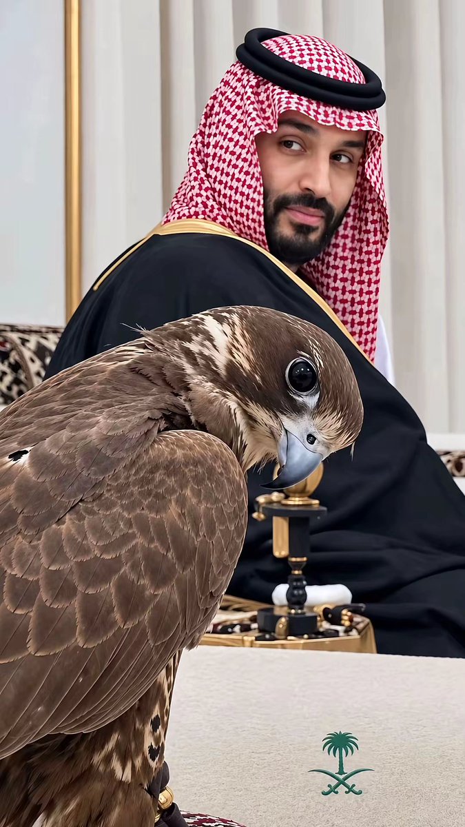 8J998's tweet photo. ﴿رَبِّ اجْعَلْ هَذَا الْبَلَدَ آمِنًا﴾
اللهم المملكة العربية السعودية
عقيدتها وولاة أمرها وأمنها وشعبها

اللهم اجعل جنودنا المرابطين في حفظك
 ورعايتك وردّهم إلى أهلهم سالمين غانمين
اللهم لا تُشمِت بنا الأعداء ولا الحاسدين
واصرف عنا شرّ الأشرار وكيد الفجّار
#اللهم_احفظ_السعودية https://t.co/VR9N3ovf5w