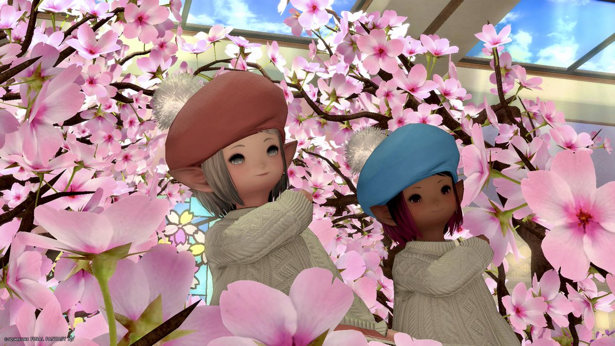 mikuron_ff14's tweet photo. おはららー！

折り返しのすいよーびー
りりさんとフリカン結成した！

 #おはララ  #新たな門出  #FF14 https://t.co/MWMJMWaWMo