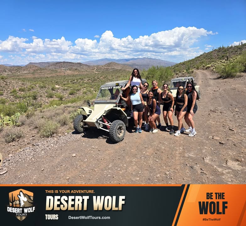 desertwolftours's tweet photo. Your next great story starts behind the wheel. 🌵🐺 Drive true military-grade UTVs through rugged Sonoran Desert terrain on a guided Desert Wolf adventure. Taking the wheel of a Tomcar is a rare opportunity—and the kind of experience that could become a once-in-a-lifetime… https://t.co/J42nSV1Jpa